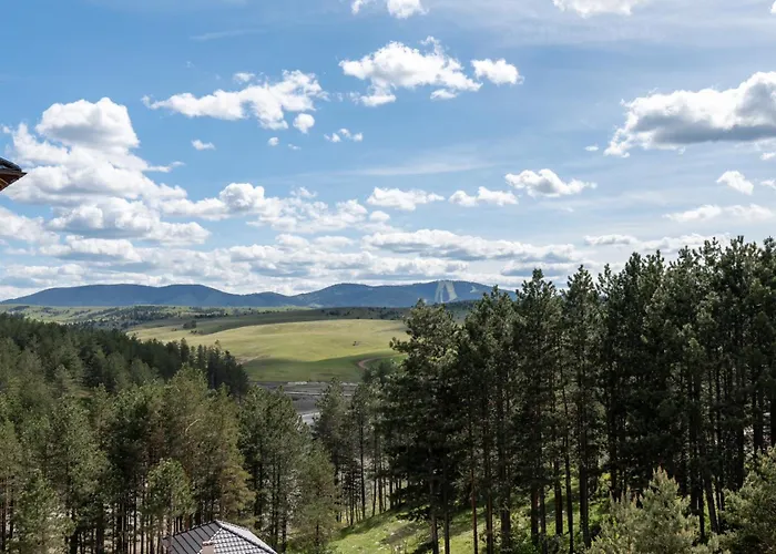 Oaza Mira 아파트 *